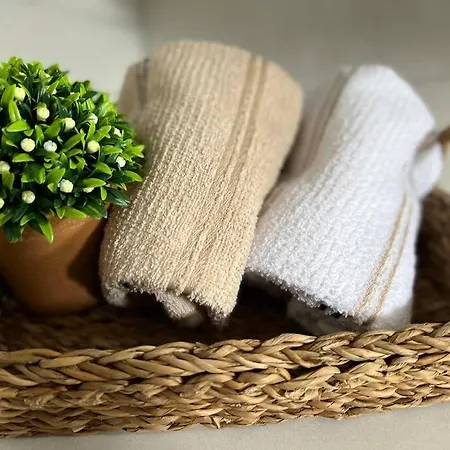 Camelia 8 Lejlighed *