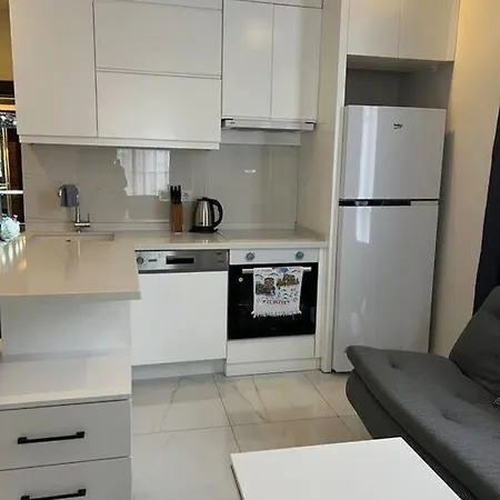 Camelia 8 * 알란야